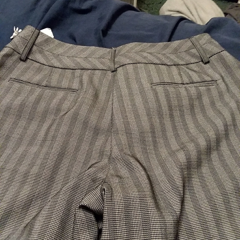 Dress pants